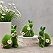 Genérico Conejos de Peluche con Flores de Margarita Imagen de Genérico Conejos de Peluche con Flores de Margarita