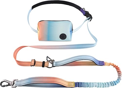 Roses&Poetry Correa de perro manos libres con bolsa de cremallera, correa elástica de 6 a 9 pies para perros medianos y grandes que caminan, correa