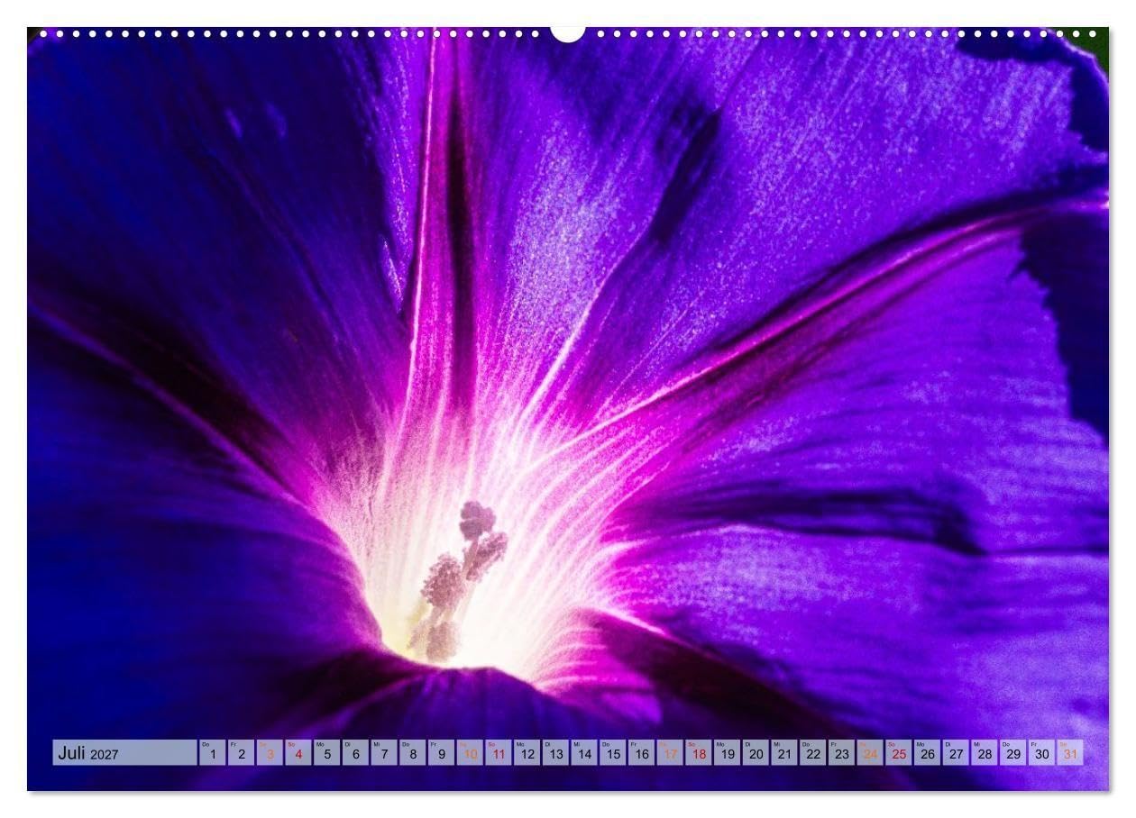 Farbe und Struktur in der Natur (Wandkalender 2027 DIN A2 quer), CALVENDO Monatskalender: Abwechsend farbenfrohe Details aus der Natur (CALVENDO Natur)