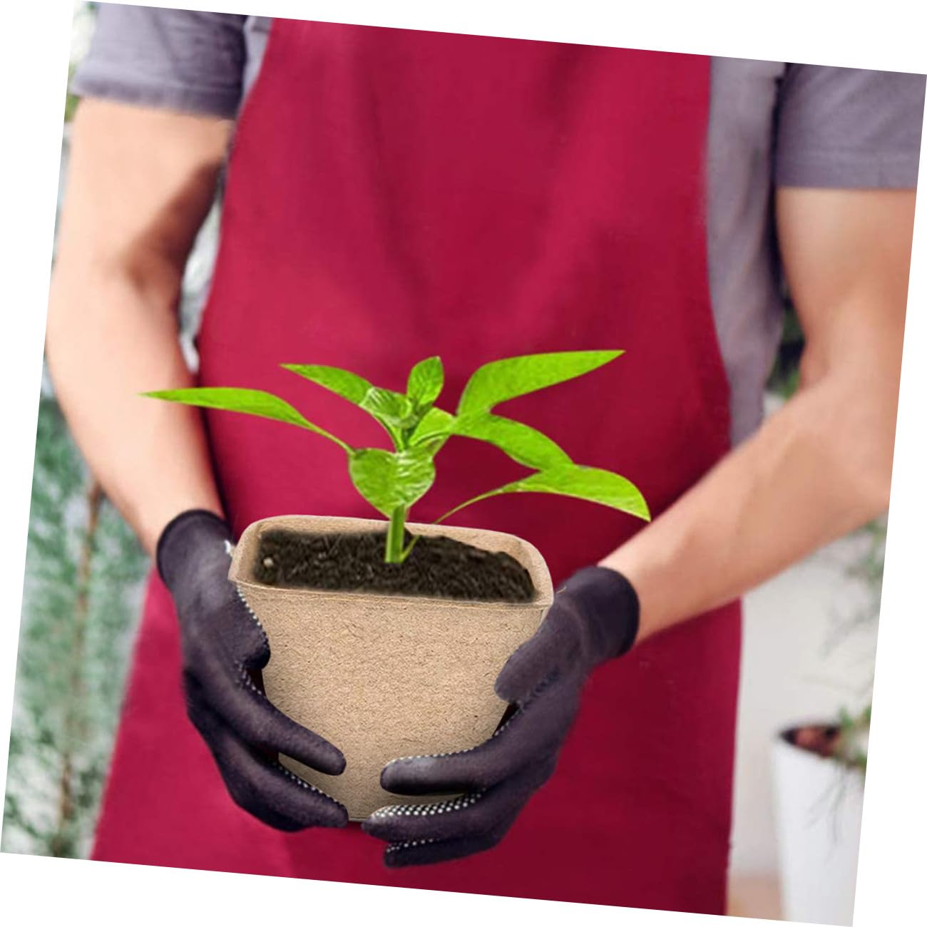 TOYANDONA 100pezzi Tazza Di Carta Per Coltivazione Vivaio Produzione Vivaistica Vaso Per Piante Degradabile Adatto Per Piantagione Di Succulente e Trapianto