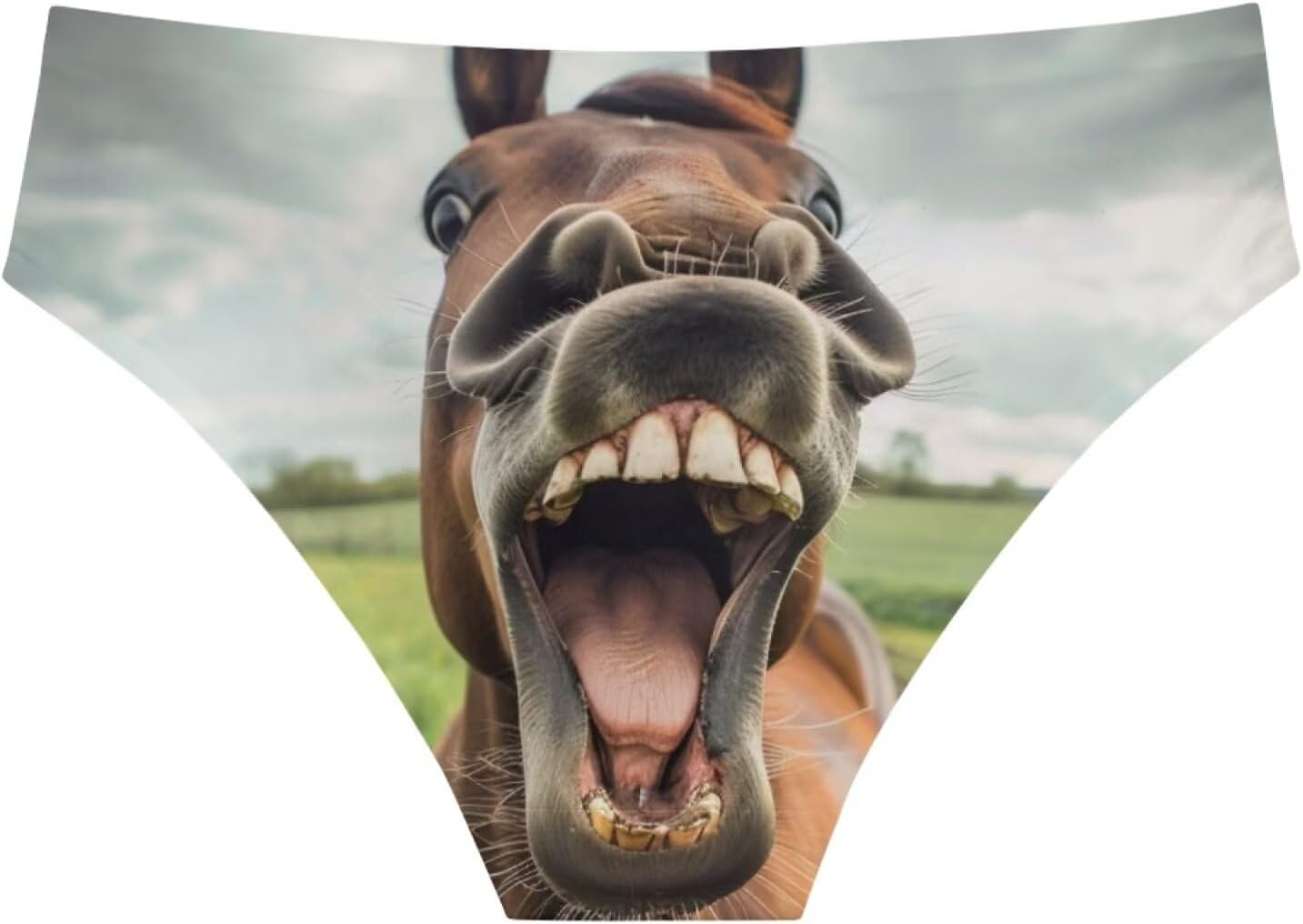 Dellukee Women's Sexy Underwear Briefs Horse Funny Print Breathable Hipster Panty Comfortable Bikini Panty for Bachelorette Party Gag Gift