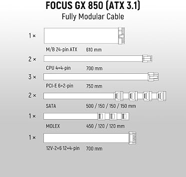 Seasonic FOCUS GX-850 ATX3 V4 - White 80PLUS GOLD 850W ATX 3.1 & PCIe 5.1 Fully Modular White