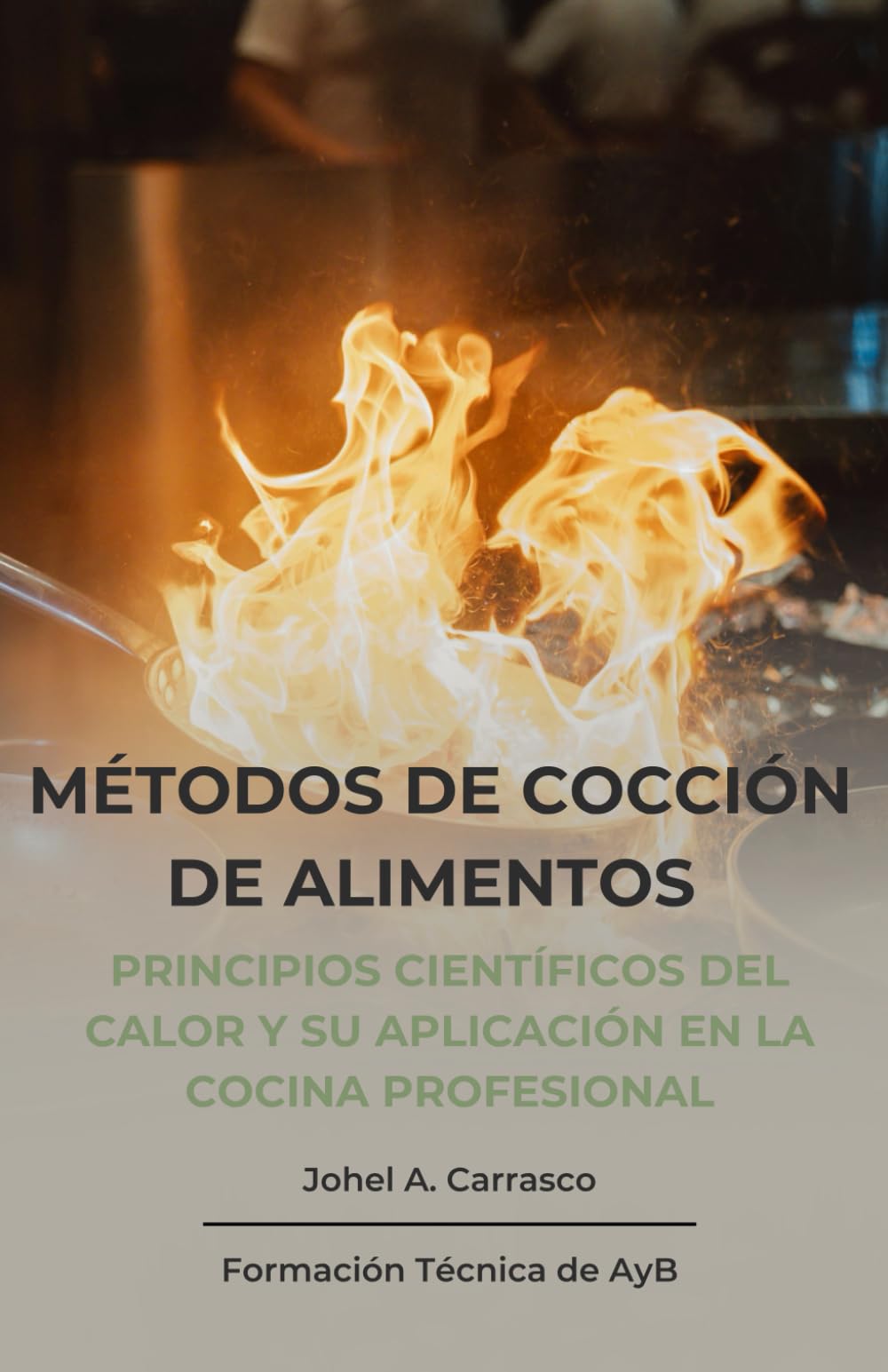 Métodos de Cocción: Principios científicos del calor y su aplicación en la cocina profesional (Formación Técnica de AyB)