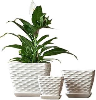 宅配便配送 かわいい 室内 プランターカバー マンゴーウッド 鉢 鉢に対応 12号鉢用 ヘリンボーンポットカバー 12号 鉢 植木鉢 プランター 玄関 ディスプレイ かわいい おしゃれ ポットカバー 植木鉢 鉢 カワイイ 送料無料 おしゃれ 園芸用品 Www Hardtimegear Com