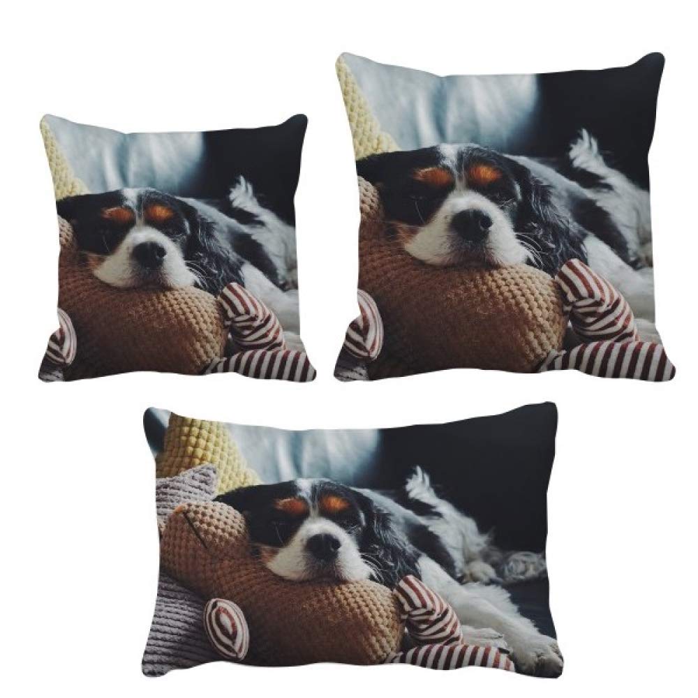 Coussin chien paresseux DIYthinker : idée cadeau originale animaux