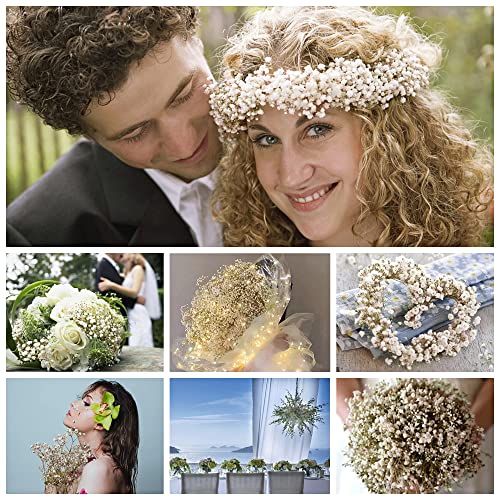2500+ Dried Baby's Breath Flowers Bouquet - Natural White Dry Flowers Bulk, Gypsophila Branches For Wedding, Table Vase, Party Garden, Diy Wreath Floral, Arrangement Home Decor #TOP4