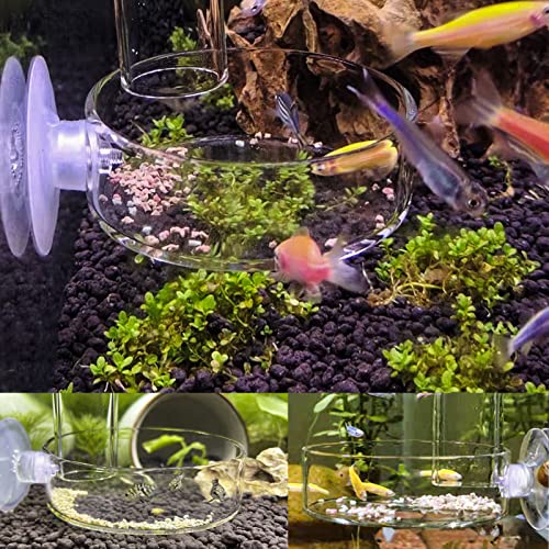 Image of Aquarium Shrimp Feeder Dish Glass Fish Tank Feeding Bowls, 1pcs Round Glass Food Bowl (60mm), 2pcs Square Fish Feeding Bowls with Suction Cups (60mm)