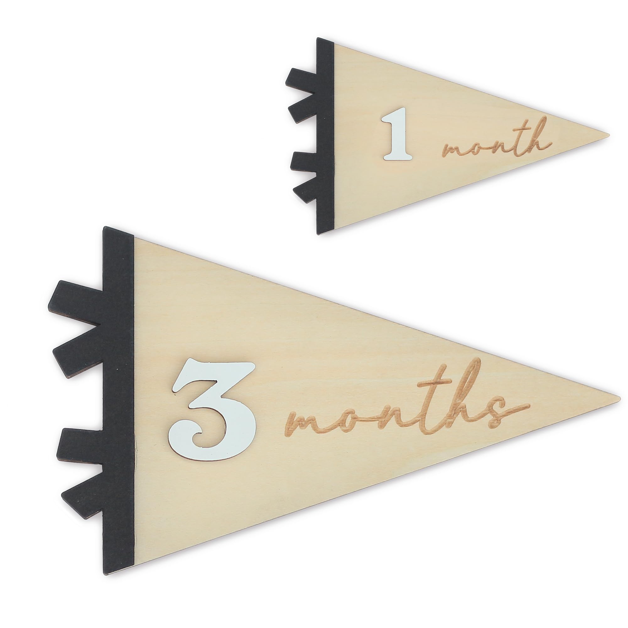 Daisy 3D Baby Monthly Milestone, Wooden Baby Milestone Signs, Monthly Milestone Wood Discs, Baby Milestone Discs (Flag)