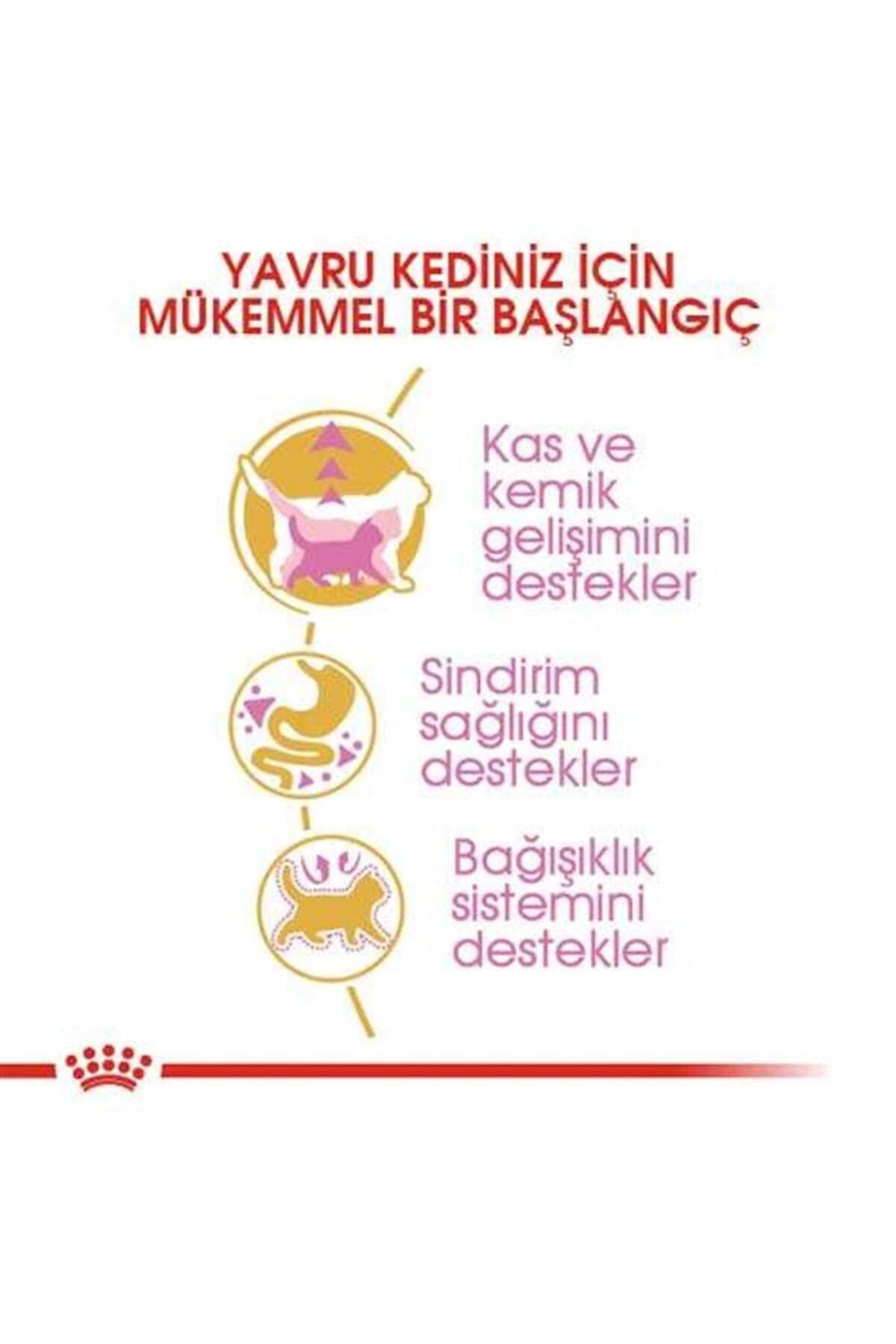 Royal Canin Kitten Food - British Shorthair Complete Food 2Kg product thumbnail 5
