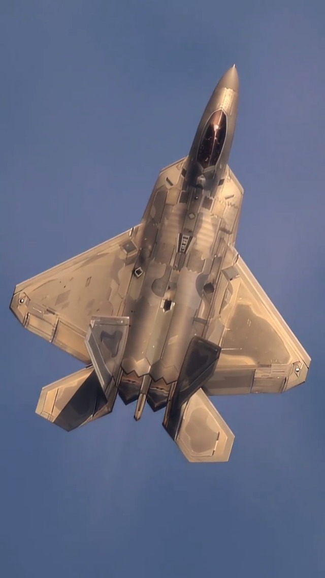 HOTTOYS US AIR FORCE F22 黒人タイプ HOTTOYS US AIR FORCE F22 黒人タイプ Hottoys 1/6 F-22 Combat