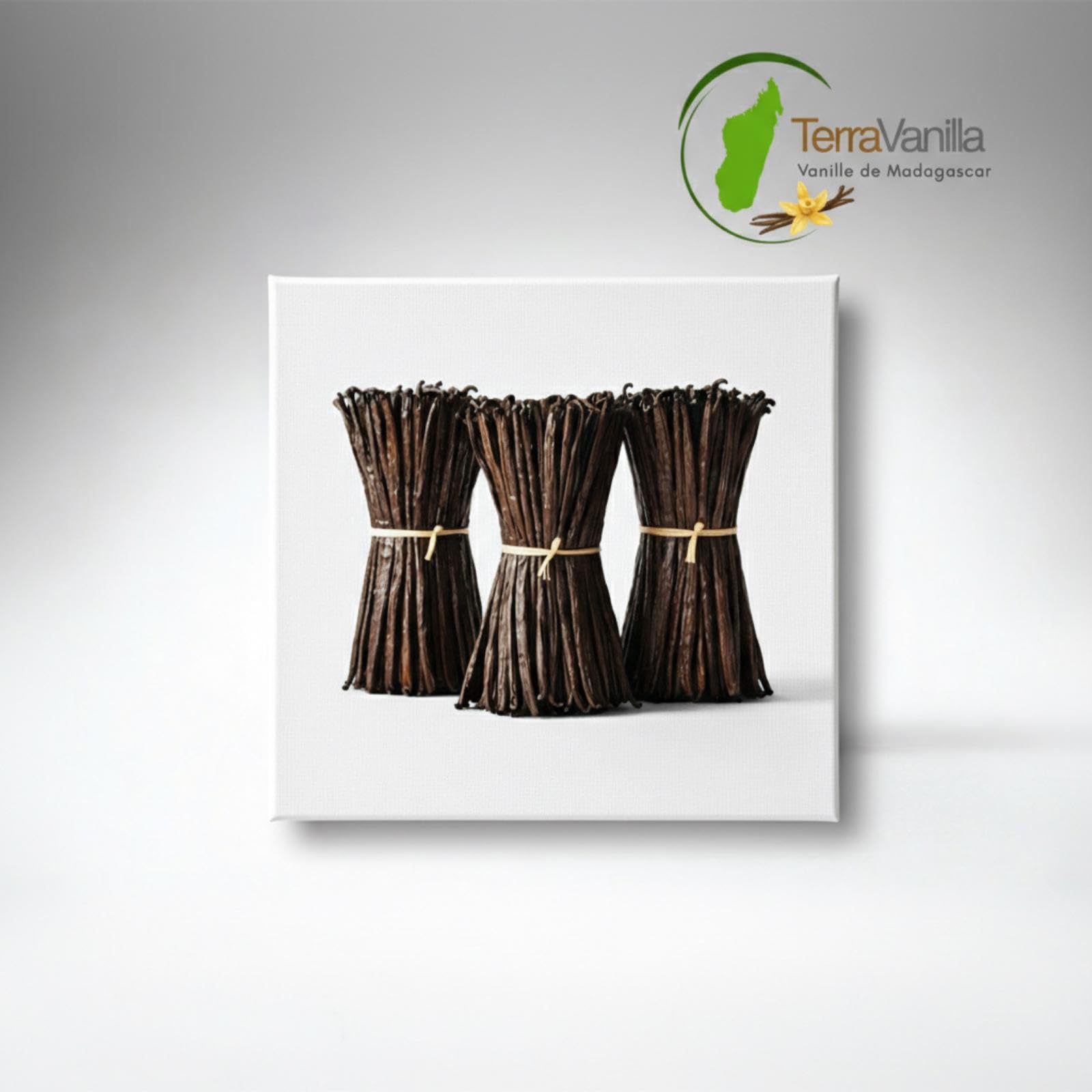 TerraVanilla Vanille de Madagascar Bourbon - Gourmet, Gousse 17-19 cm | 1kg