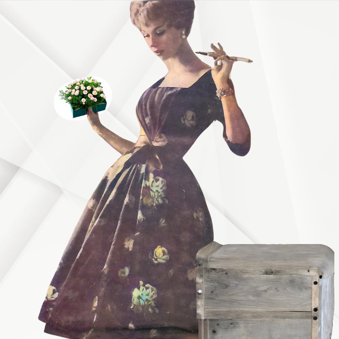 Amazon.com: 1950s Sewing Pattern, Women's Pleated Bodice Dress