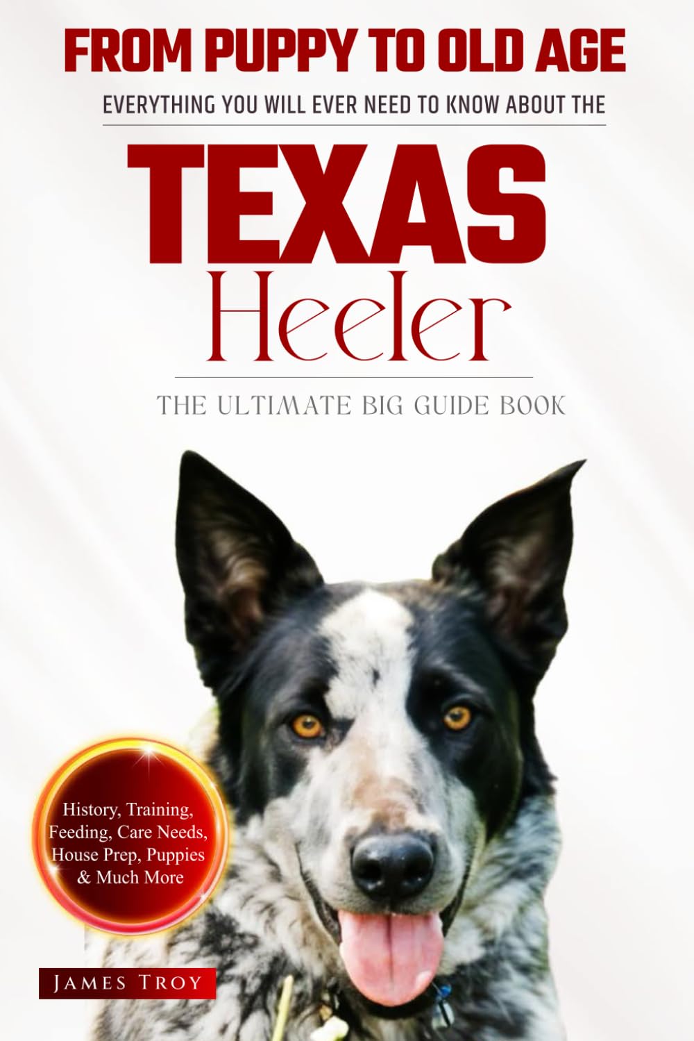 The Ultimate Texas Heeler Big Guide: Everything You Will Ever Need To Know About The Texas Heeler Book