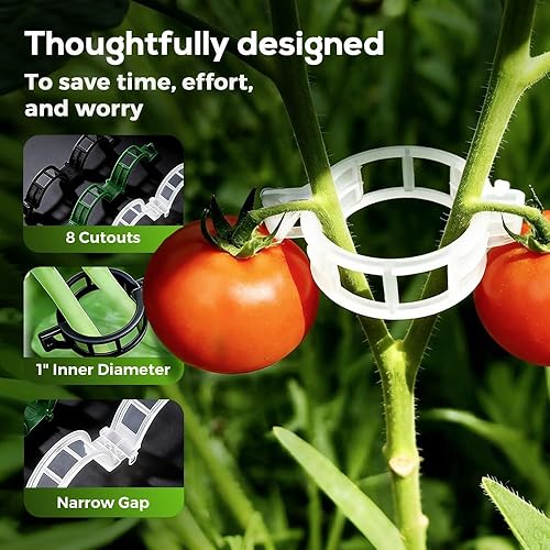 Miniatura 5 de 50 clips de plástico seguros para plantas, clips de jardín para plantas trepadoras, clips de plástico para soporte de plantas, clips de fijación de