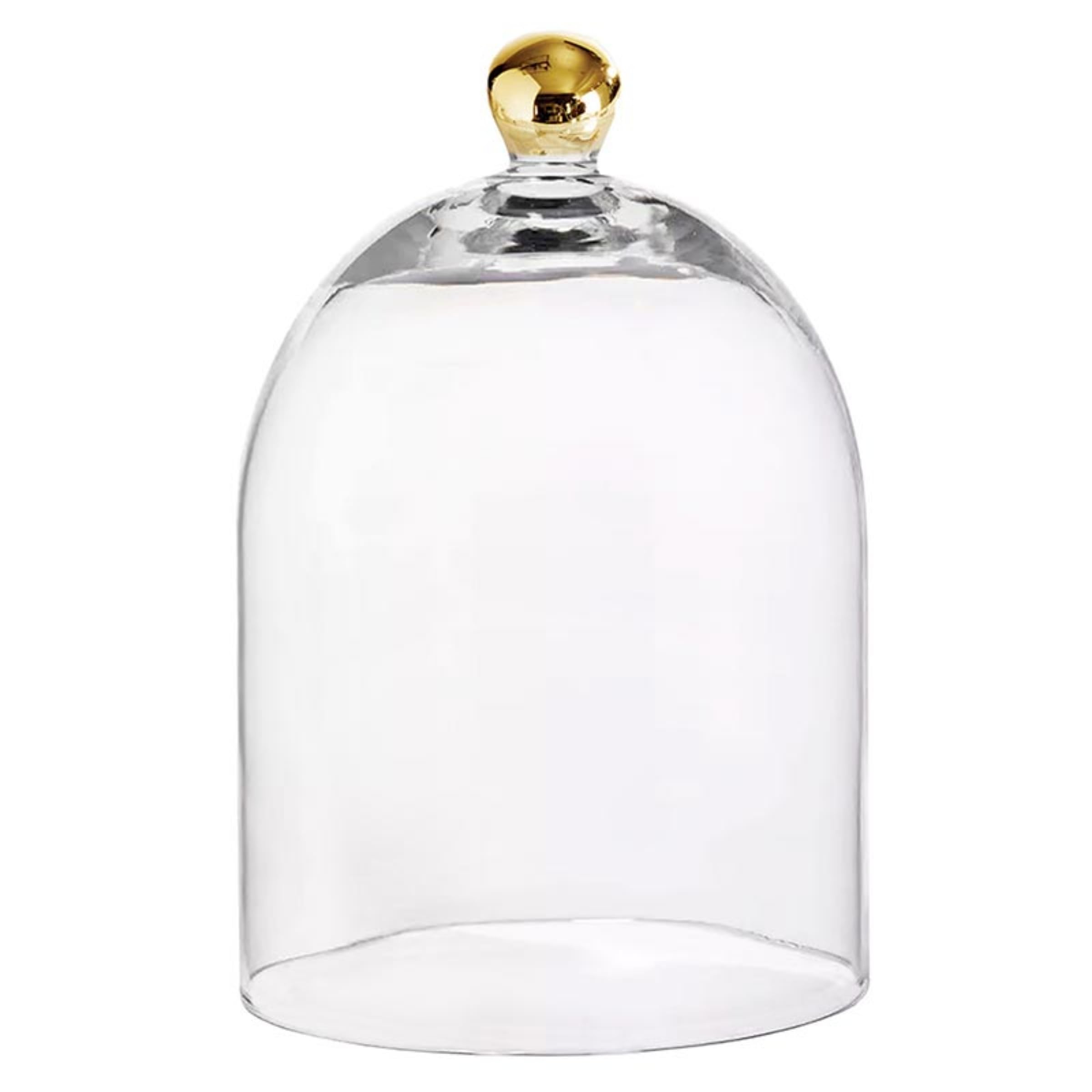 Santa Barbara Design Studio Glass Dome Food Cover Gold Knob Cloche, Large, Clear