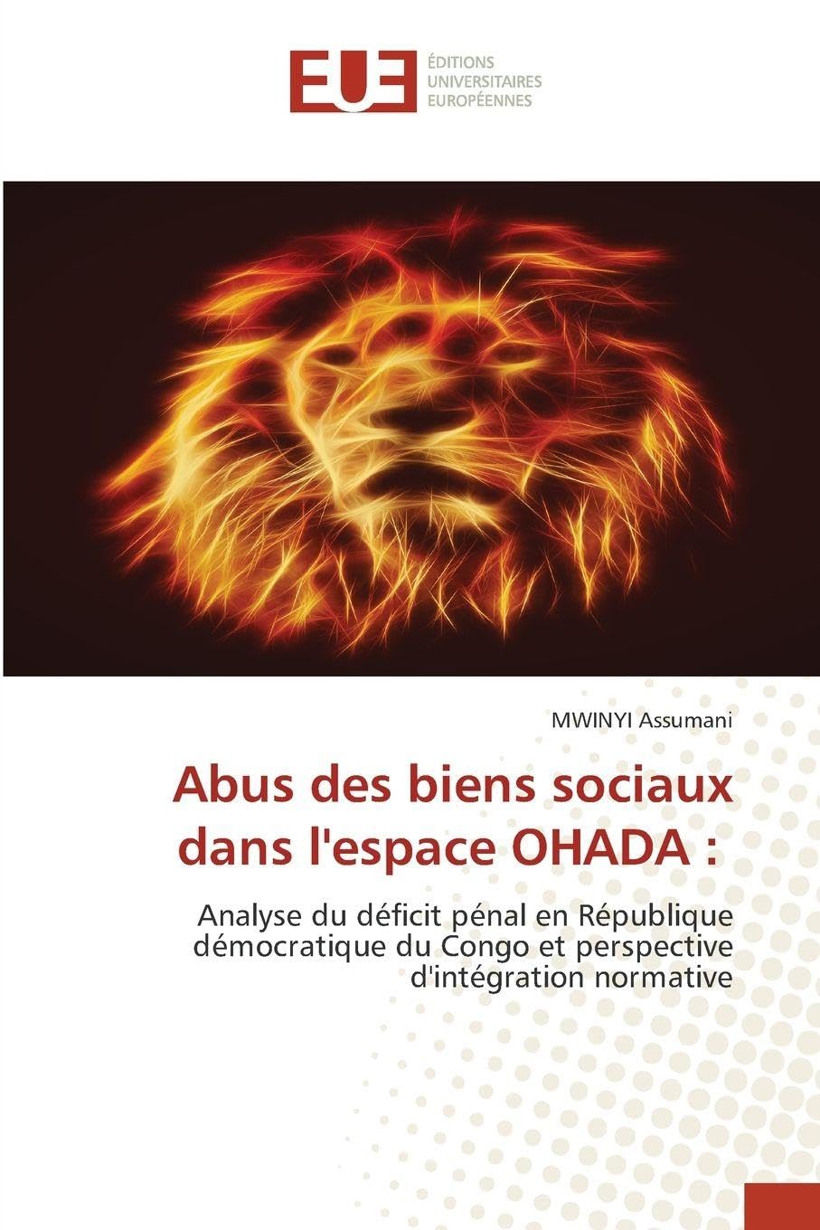Abus des biens sociaux dans l'espace OHADA: Analyse du déficit pénal en République démocratique du Congo et perspective d'intégration normative