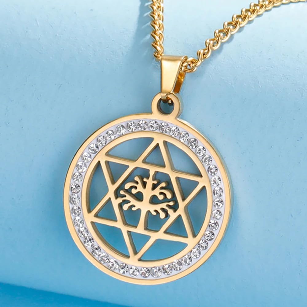 Accessori per ragazze Collana Stella di David per donne e uomini, Ciondolo cavo rotondo esagramma in argento sterling 925 con zirconi, Donne ebree,