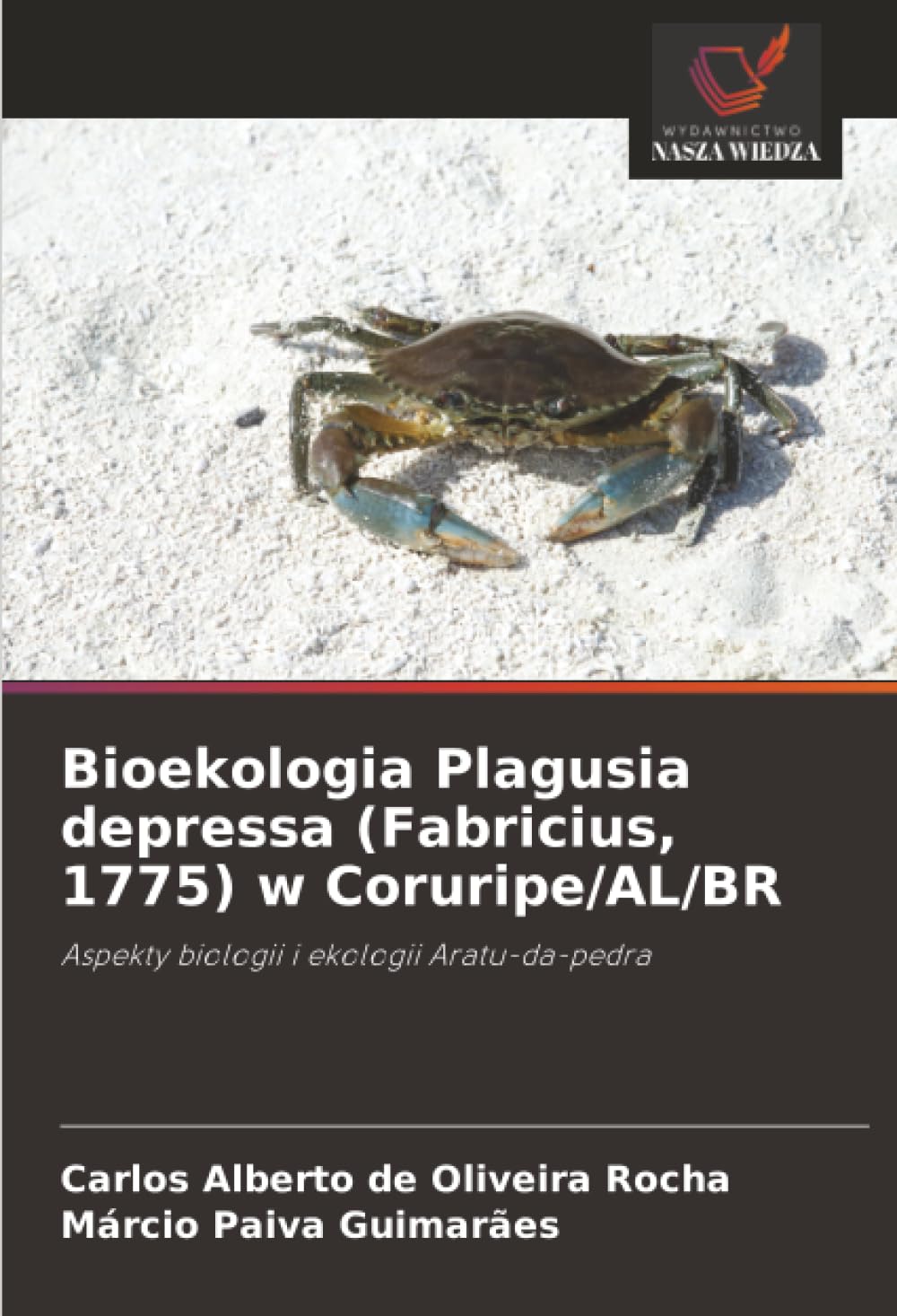 Bioekologia Plagusia depressa (Fabricius, 1775) w Coruripe/AL/BR: Aspekty biologii i ekologii Aratu-da-pedra