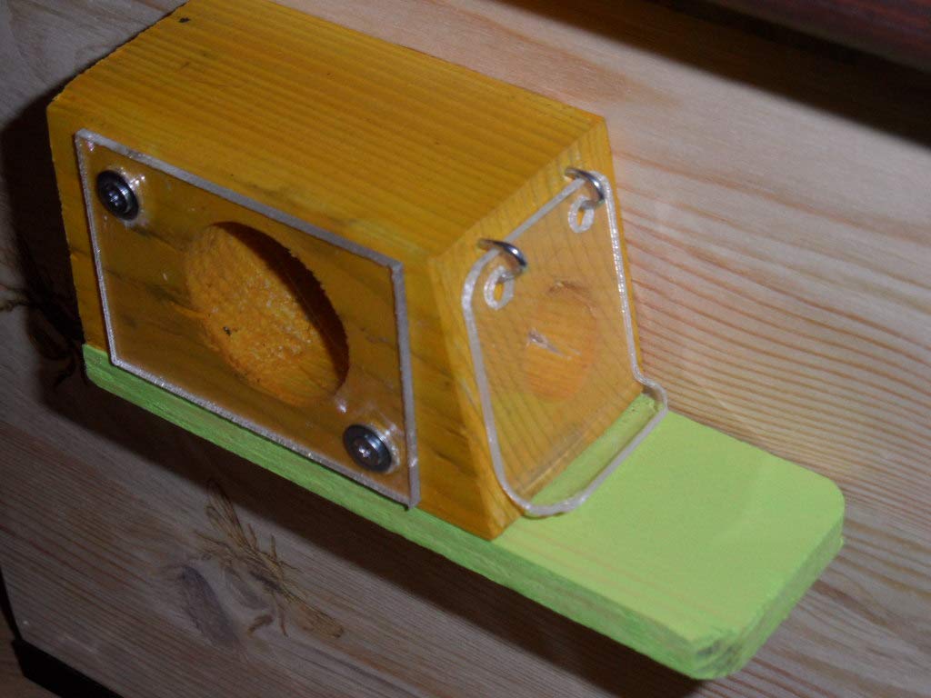 XXXL Luxus Hummelkasten mit Wachsmottensperre, 2X Sichtfenster und Nistmaterial Imprägniert Wetterfest Bienenhaus Hummelhaus Nistkasten Hummelvilla Bienen Insektenhaus