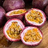 14Pcs Passion Fruit Seeds for Planting Outdoor-Non-GMO Fruit Seeds-Tropical Flavor for Your Home Garden