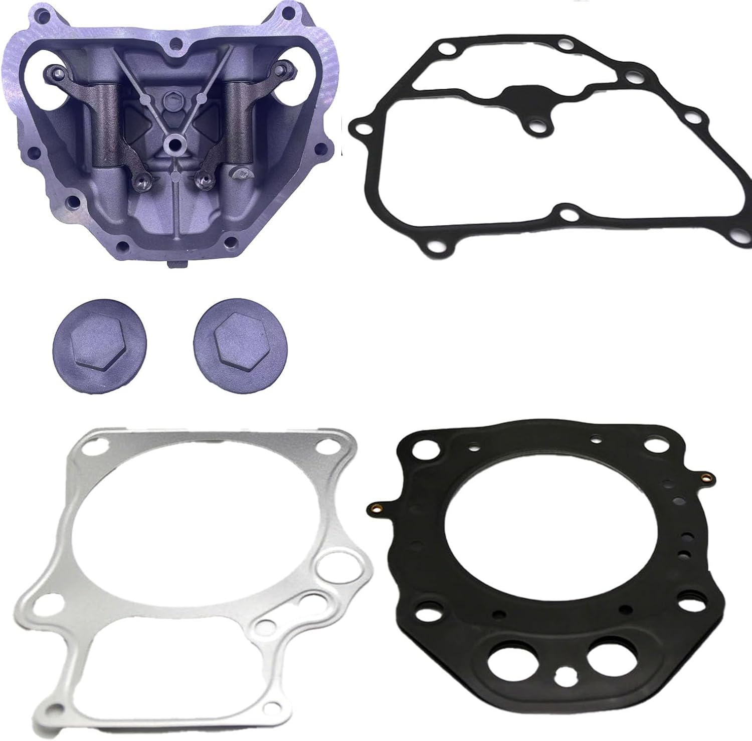 Compatible with Honda Cylinder Head Assembly Set (including gasket) 12310-HP5-L10&12315-HP5-601 Compatible with TRX420/TRX500S 2009-2013