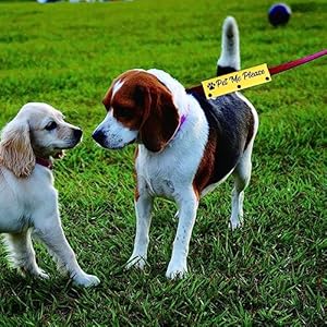 Funny-Dog-Leash-Sleeve-Pet-Me-Please-Dog-Leash-Wrap-Wrap-Alert-Hanging-ID-Patch-Tag-Pet-Birthday-GiftPet-Me-Please-Pet-Me-Please-YE-Sleeve - Cucciolini Doodles   Funny-Dog-Leash-Sleeve-Pet-Me-Please-Dog-Leash-Wrap-Wrap-Alert-Hanging-ID-Patch-Tag-Pet-Birthday-GiftPet-Me-Please-Pet-Me-Please-YE-Sleeve