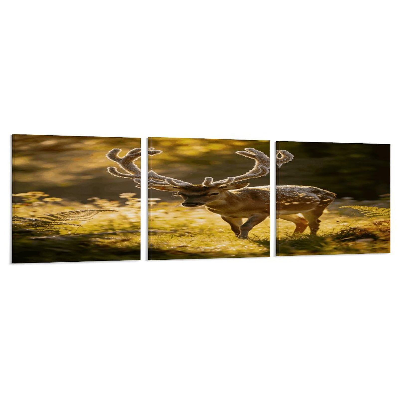 Khauerbc Style Set Of 3 Graceful Deer With Antlers In Nature Wall Art，Paintings Artwork For Living Room, Hallway, Bedroom, Office Wall Decor For Living Room, Hallway, Bedroom, Office Paintings Artwork 8X8 Inch
