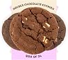 Coffee Masters Chocolate Cookies - 1 x 24 Pack Individually Wrapped Biscuits Perfect Cookie Snack for the Family - Light and Crunchy Double Choco Chip, Suitable for Vegetarians