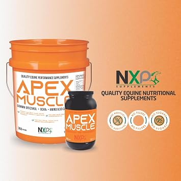 APEX Muscle Horse Supplement, Body & Strength Builder for Horses, Energy, Endurance, Recovery Support, 19.8 lb.