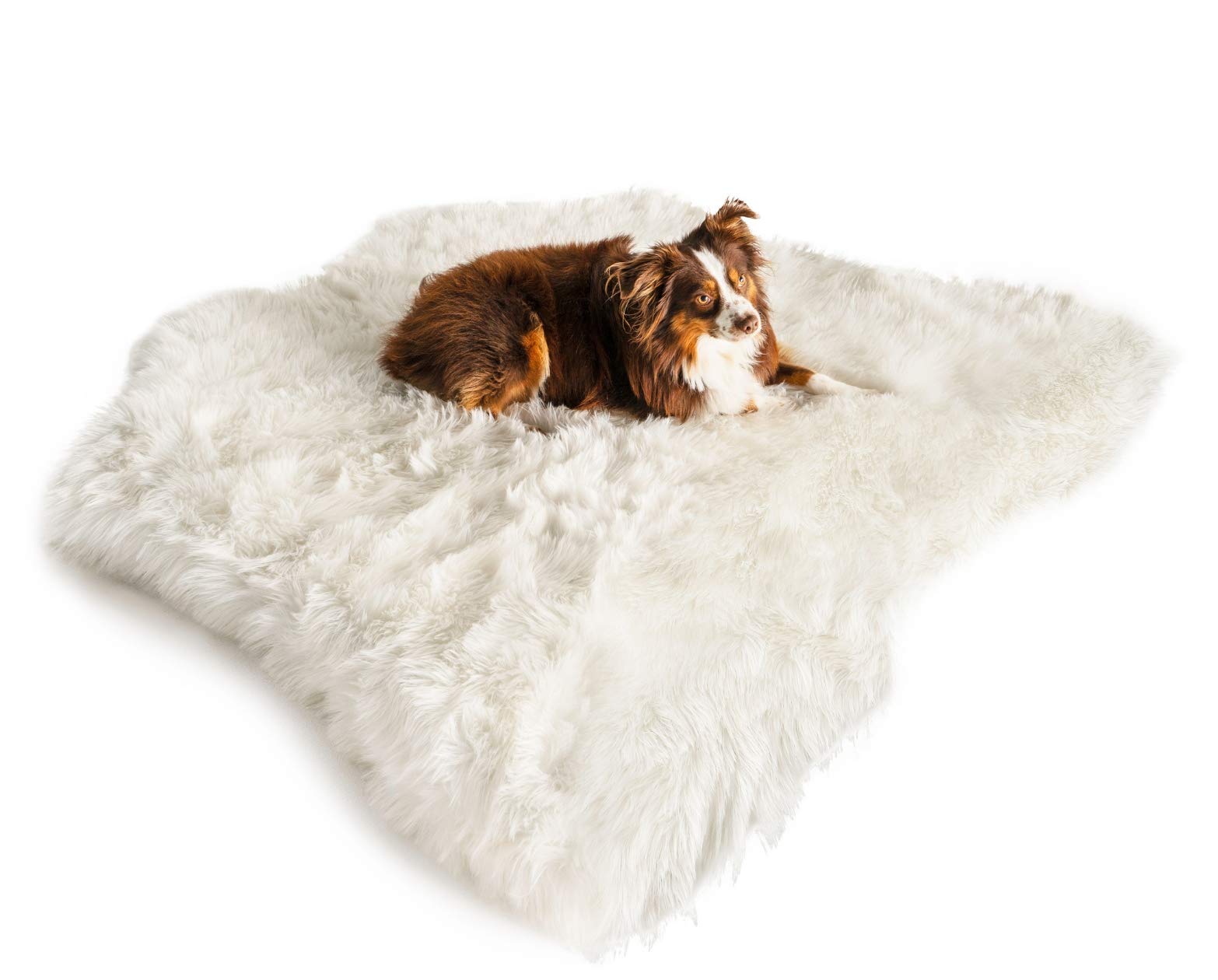 PAW BRANDS Puprug Faux Animal Print Memory Foam Orthopedic Dog Bed,  Long-Lasting, Premium Memory Foam Base with Ultra-Soft Faux Fur Cover  (Polar Bear