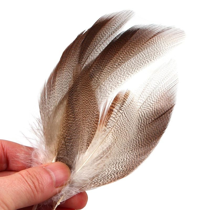 Plumas naturales de pato mallard 50 piezas para atado de moscas miniatura 4
