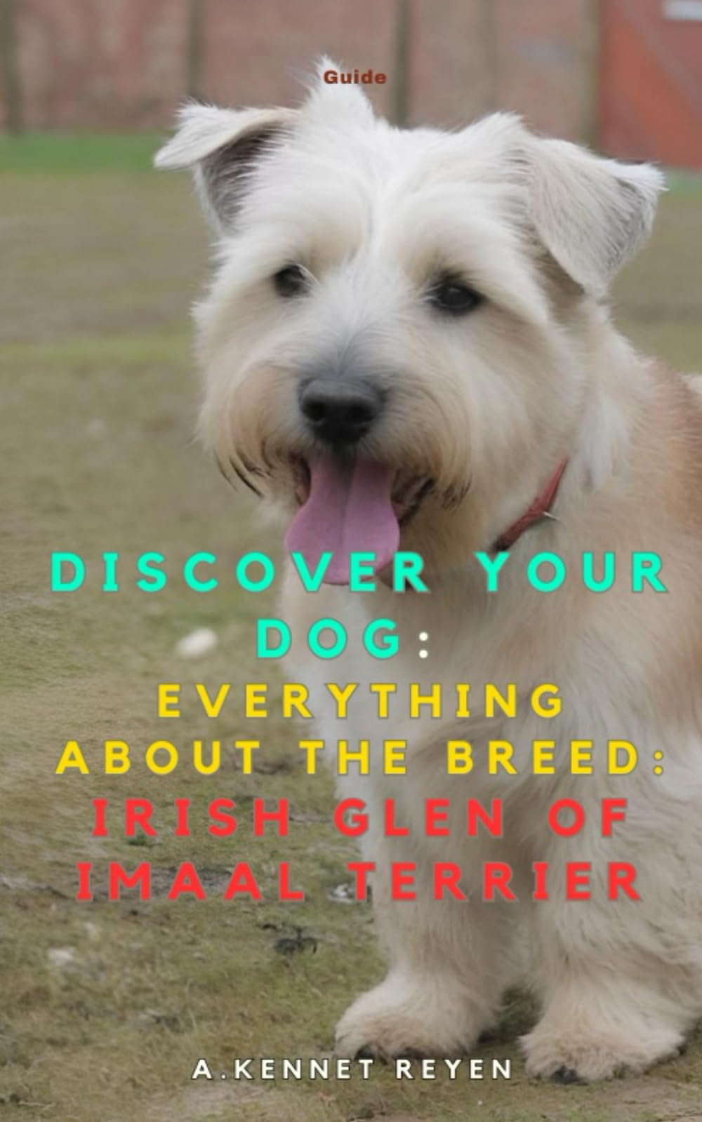 Discover your dog: Everything about the breed: Irish Glen of Imaal Terrier