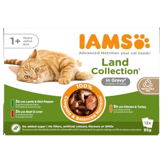 Vielseitiges Katzenfutter im Multipack