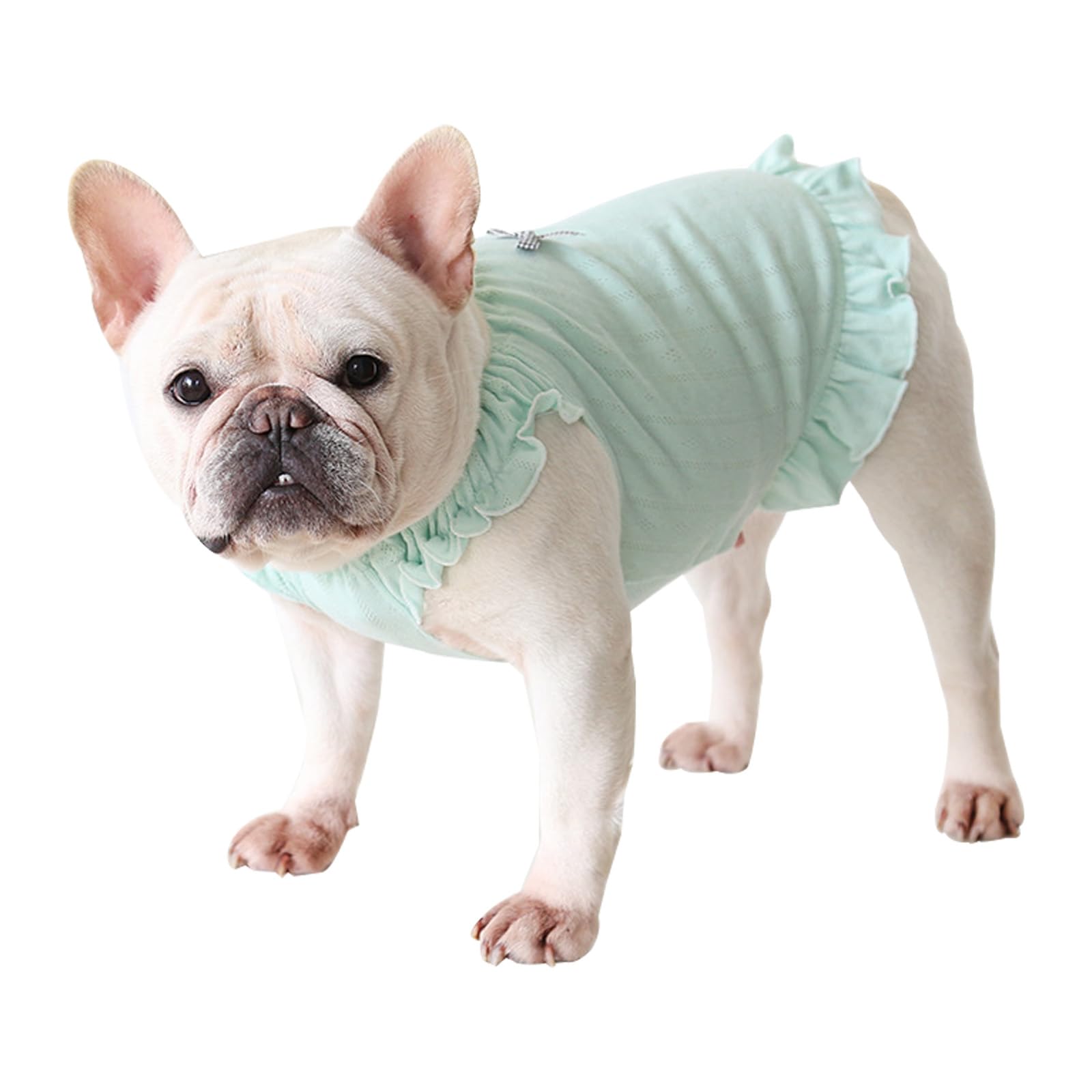 Robe ajourée en jacquard Moorfowl avec volants pour chien XL