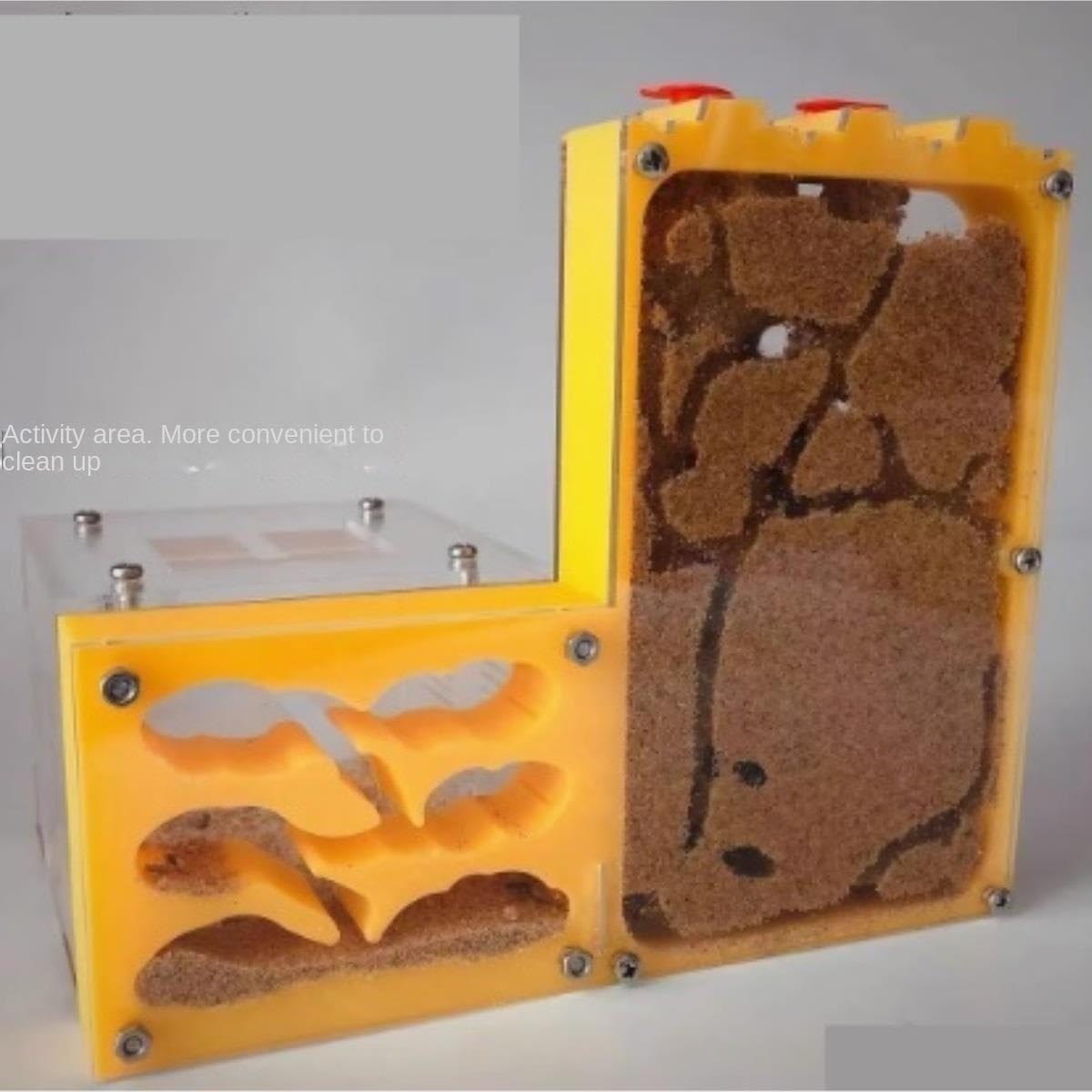 Nido di formiche Capacità Castello in acrilico Formicaio Habitat osservazione delle Fattoria