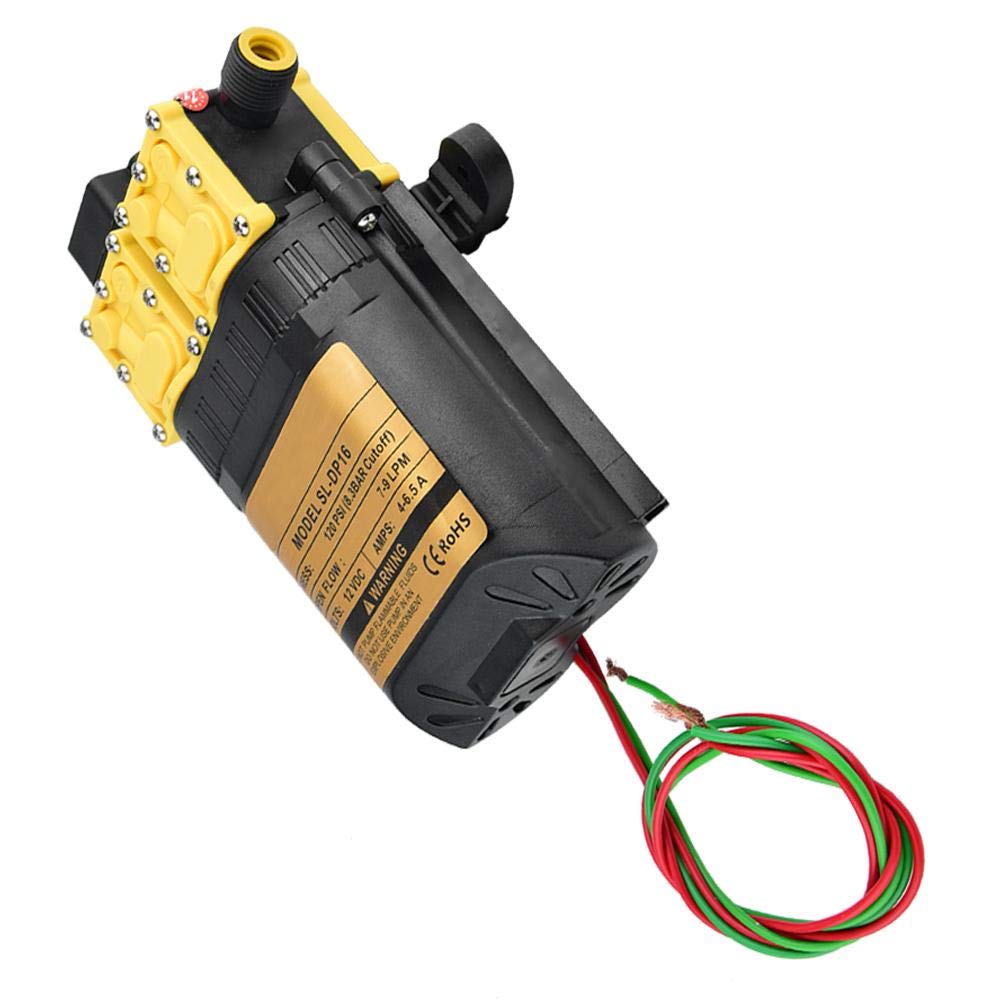 12V CC Pompa Elettrica, Pompa Irroratrice Agricola, Pompa Acqua ad Alta Pressione Multifunzionale, Pompe Autoadescanti per Barca da Diporto Agricoltura