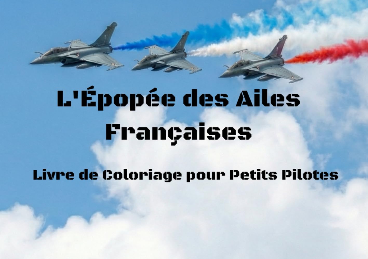 L'Épopée des Ailes Françaises