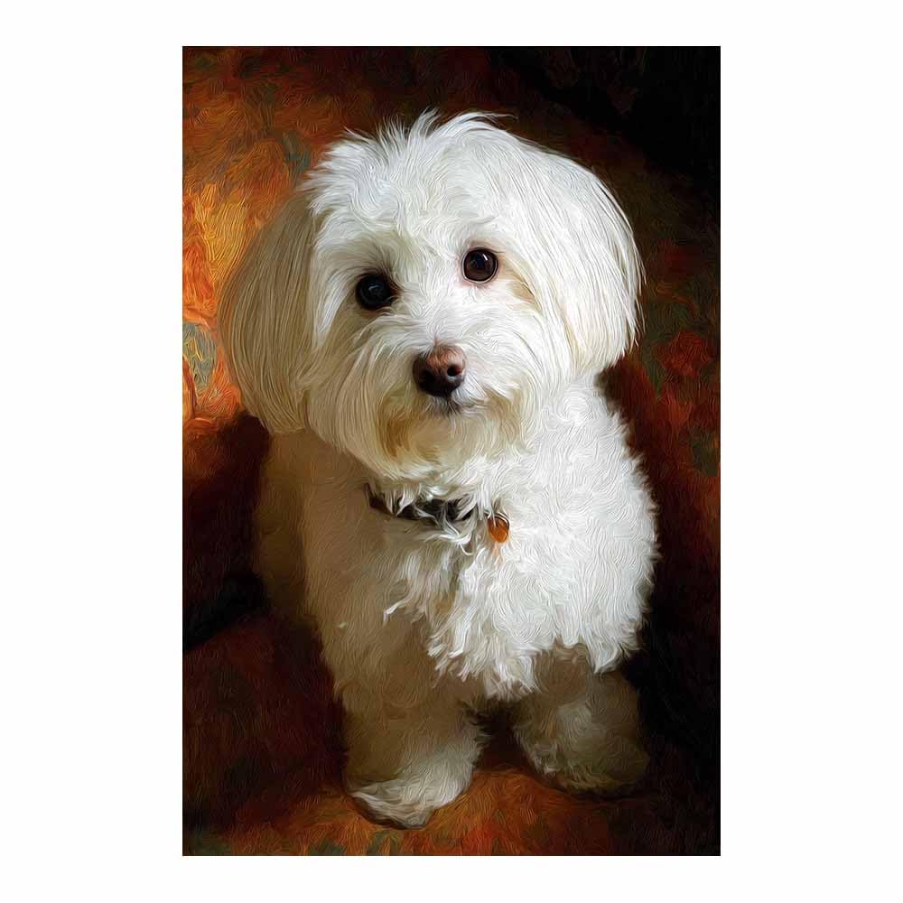 ZAMAEIU Canvas Print Wall Art Mal Painting Abstract Dog Animal Paintings, Suitable for living room, bedroom, for Kids Room Decoretc.(white)-30x50cm Unframed