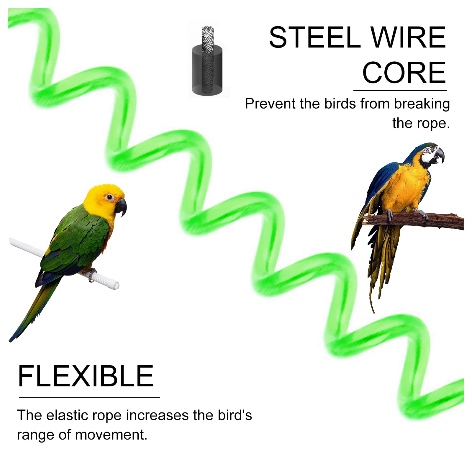 Andiker Parrot Flying Rope - Image 2