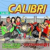  CALIBRI