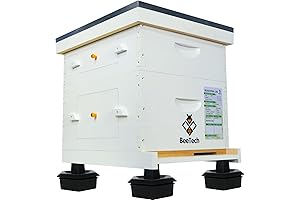 10 Frame Langstroth Beehive Kit Hand Painted: A Haven for Honeybees