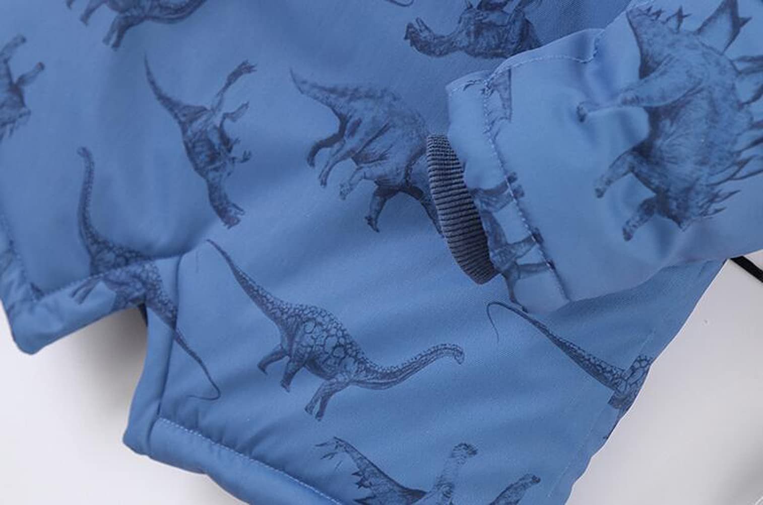 Doudoune Garçon Manteau Enfant garçon Veste Matelassée à Capuche et Imprimé Dinosaure pour Enfants 3-13 Ans