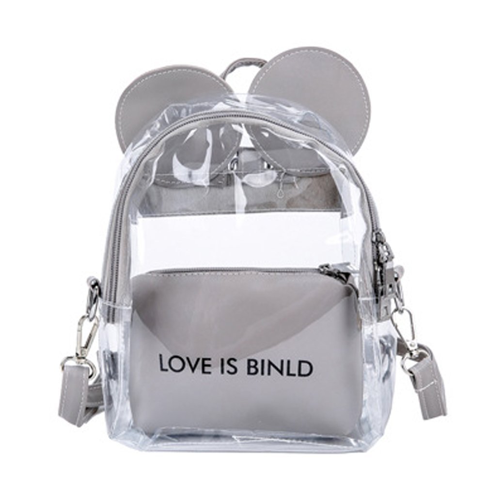 Clear Casual Daypack Transparent Crossbody Shoulder Daypack Cosmetic Bag