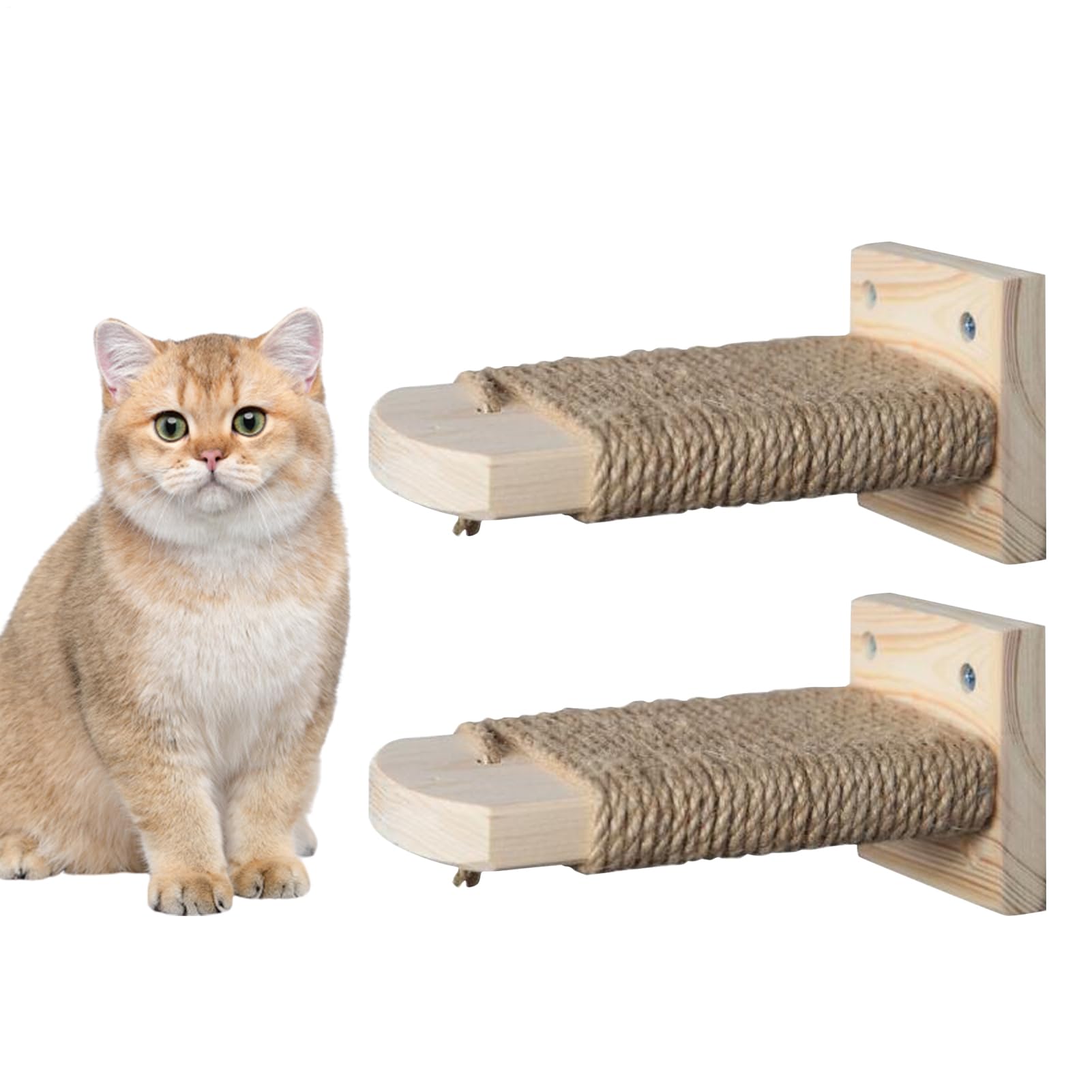 Cage pour animaux de compagnie marches d'escalade pour chat