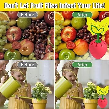 Fruit Fly Trap - Safe for Use, Effectively Solves Annoying Fruit Fly Problems, pink, sk127