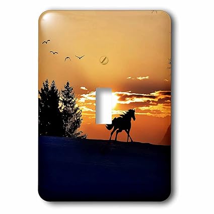 3dRose LSP_236678_1 Wonderful Sunset with Horse Toggle Switch