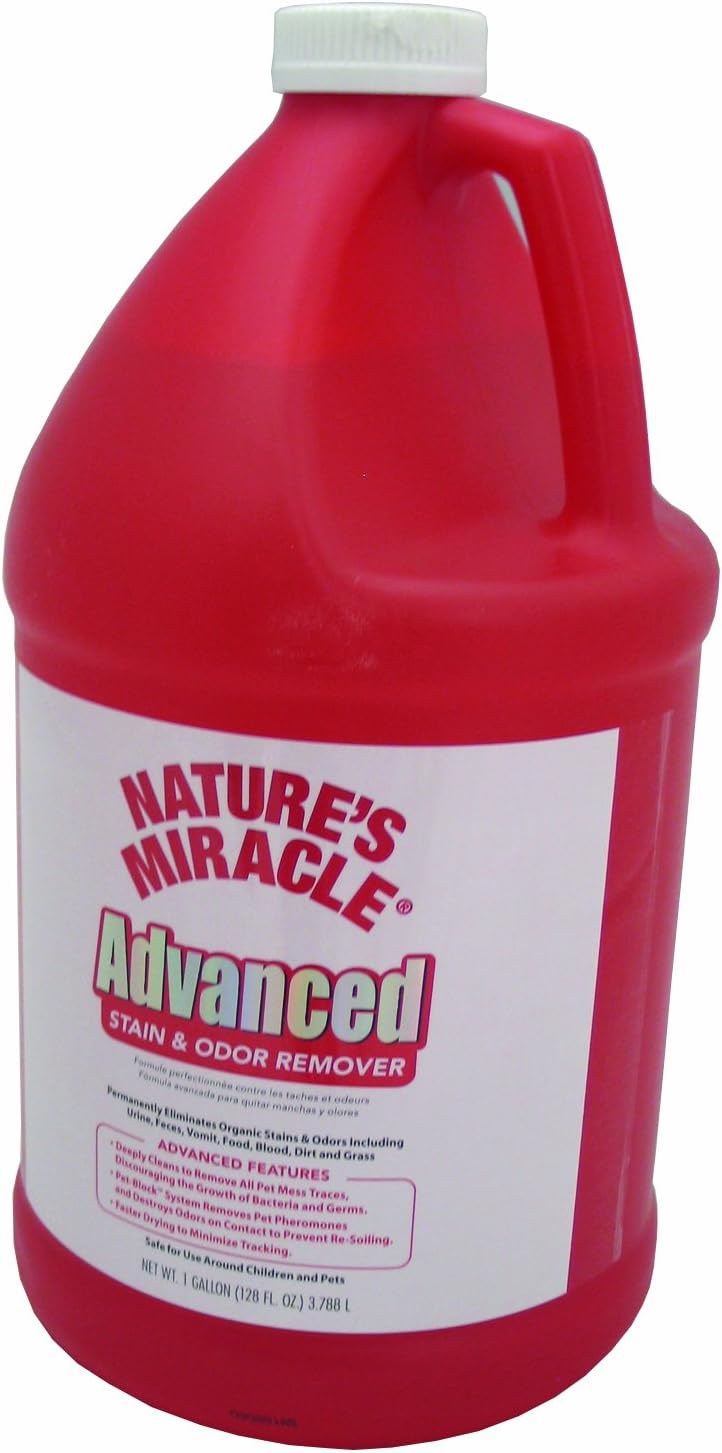 Advanced Stain and Odor Remover Gallon