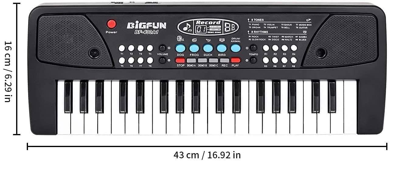 NIYANETAIL Kids Piano Keyboard, Electronic Organ Multi-Function Portable, with Microphone, for Beginners Kid Musical Toys Pianos for Girls Boys Ages 3-8 (37 Key Bigfun Piano for Kids Small)