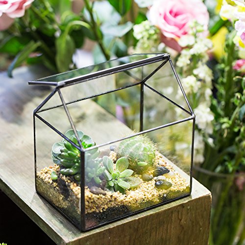 NCYP 15,5x11x16 cm Kleines Geometrisches Terrarium, Haus-Form, Glas, schließbar, Gewächshäuschen für Sukkulenten Moos Farn, mit Klappdeckel (ohne Pflanzen)