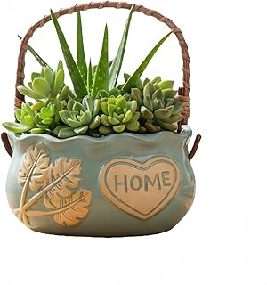 Ceramic Succulent Planter Pots, 4 Inch Small Ceramic Plant Pot with Drainage Holes Flower Pots for Cactus, Herbs, Outdoor Plants (Blue)